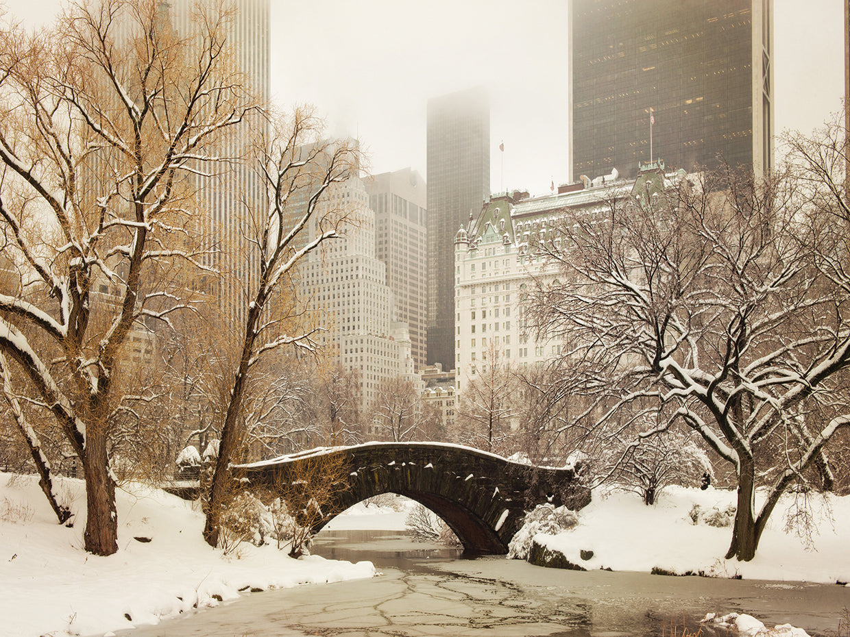 Central Park Bridge