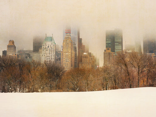 Foggy Central Park