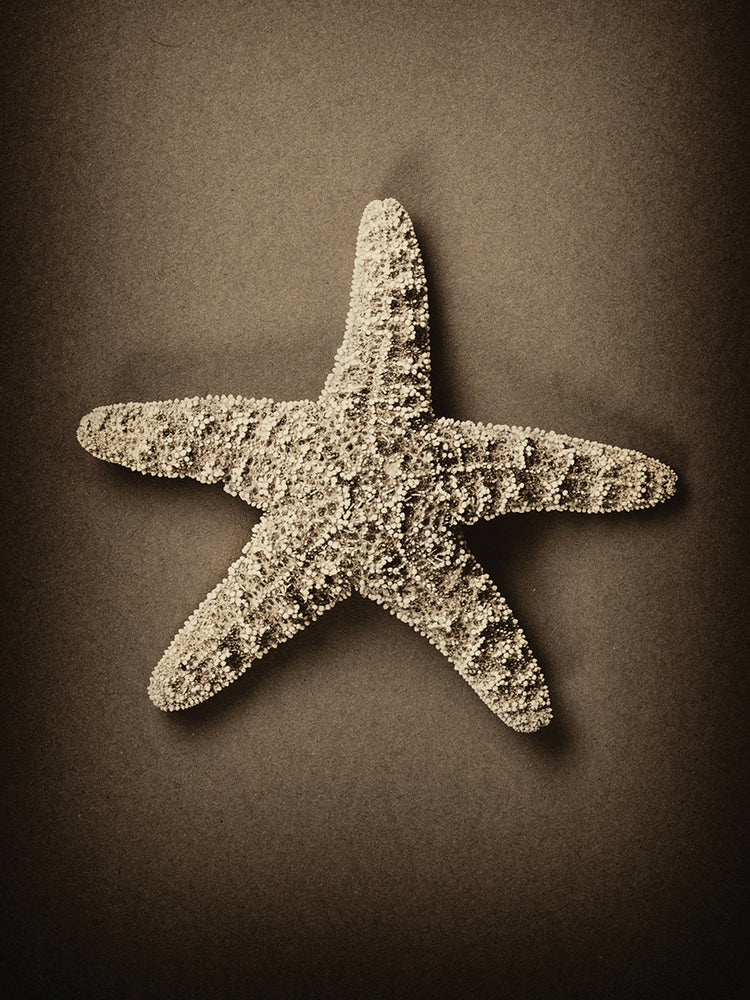 Starfish