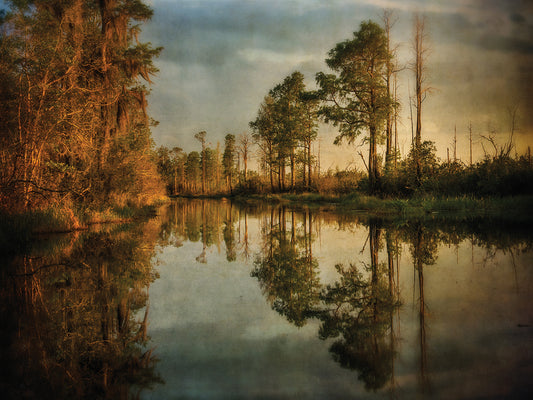 Swamp Land 1 Canvas Print