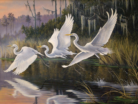 Morning Departure Egrets