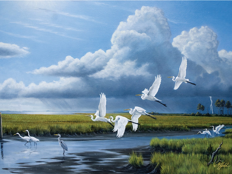 Summer Storm Egrets