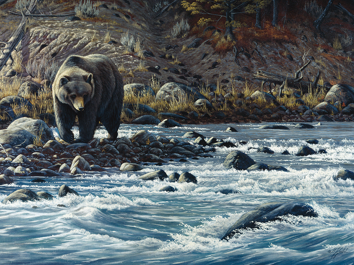 Along The Yellowstone - Grizzly