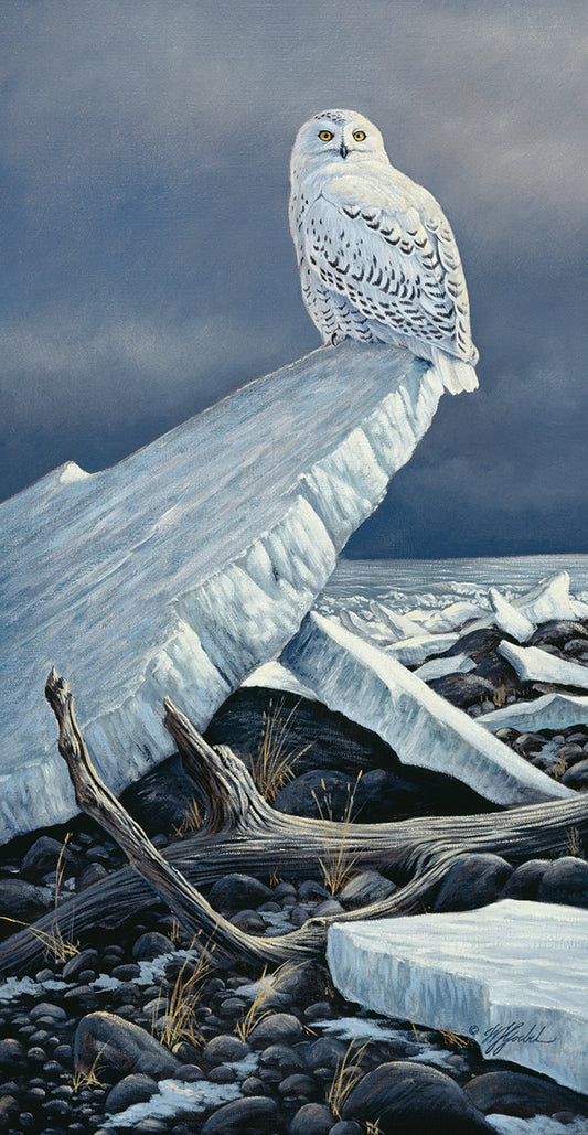 Lakeshore Ice Canvas Print