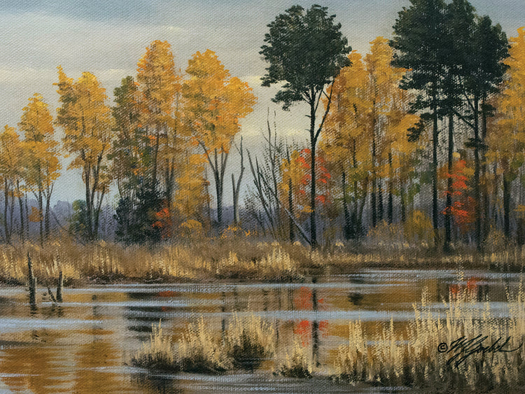 Autumn at Prime Hook
