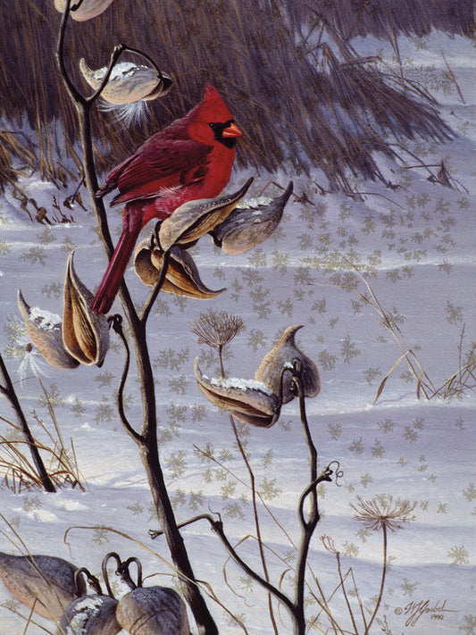 Cardinal & Milkweed Canvas Print