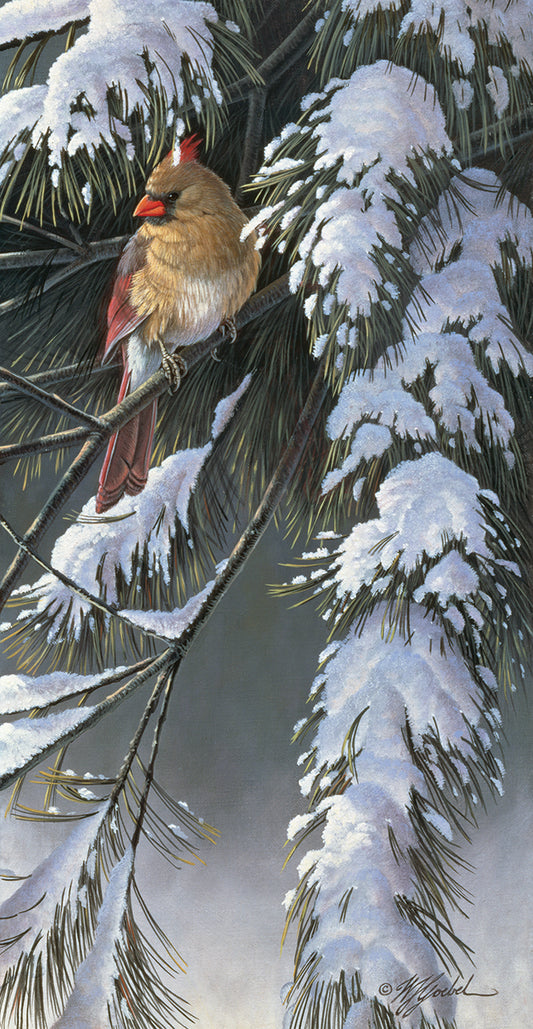 Winter Light 2 Canvas Print