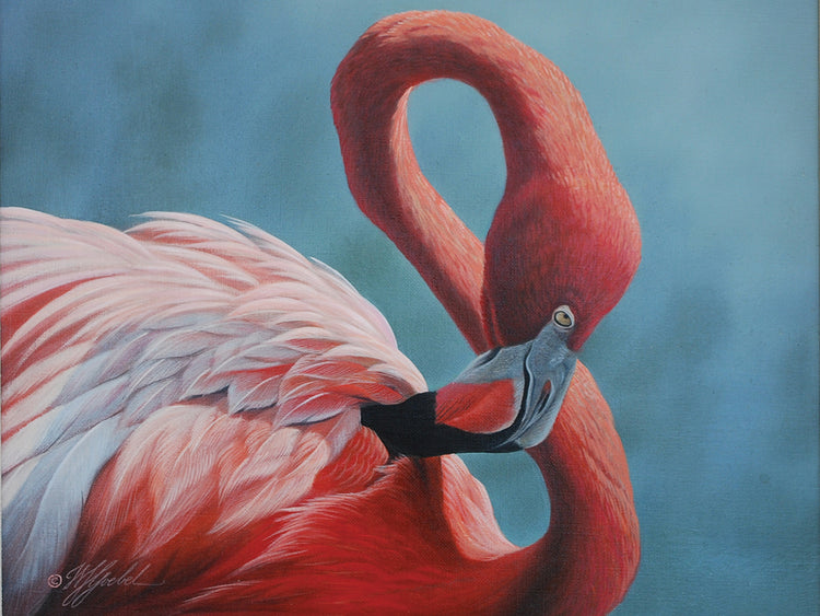 Figure 8 - Flamingo