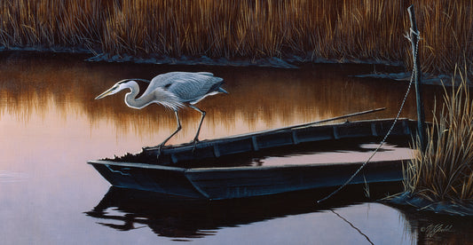 Vantage Point - Great Blue Heron Canvas Print