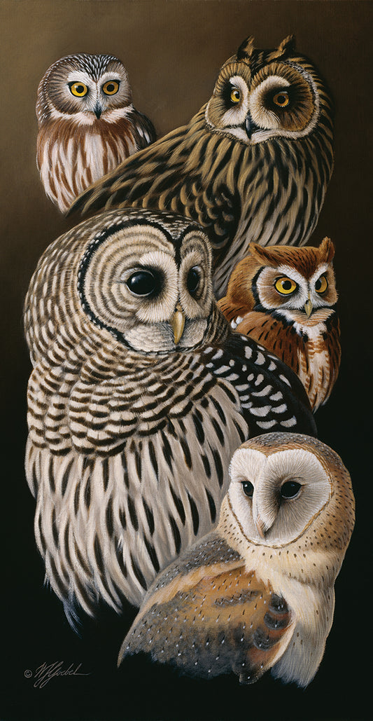 Eyes Of The Night - Owls Canvas Print