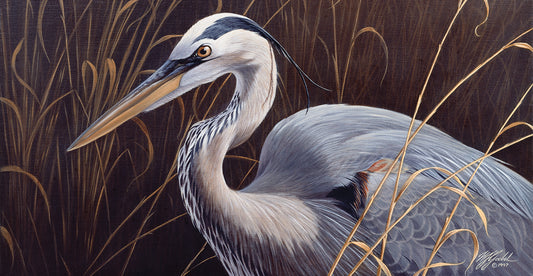 Great Blue Heron Canvas Print