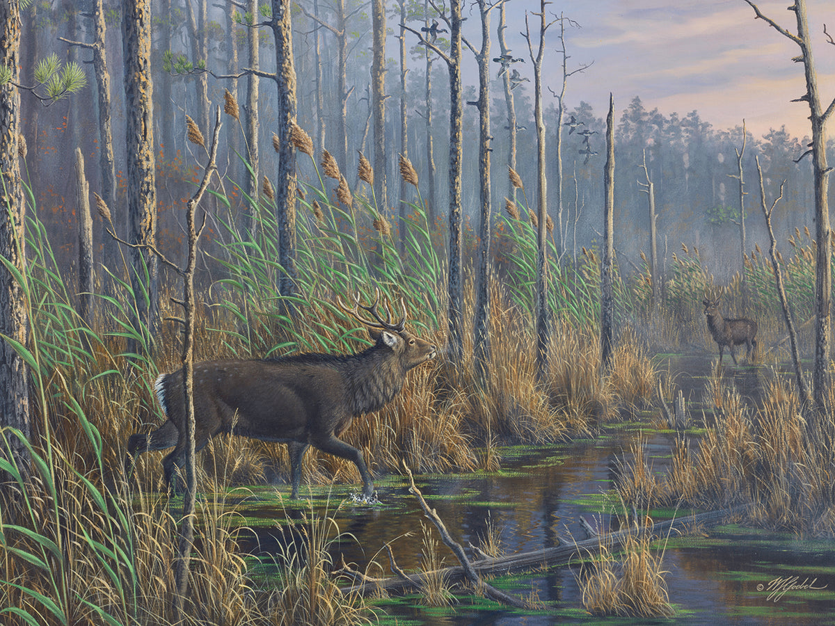 Closing The Gap-Maryland Sika Deer