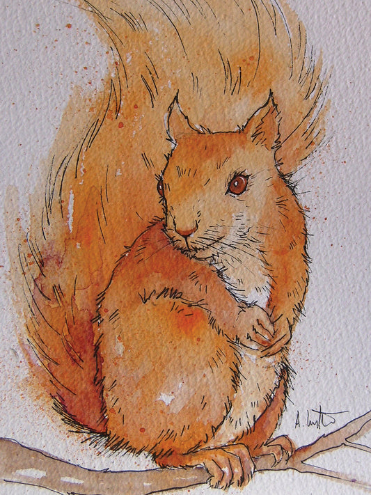 Squirrel Canvas Art