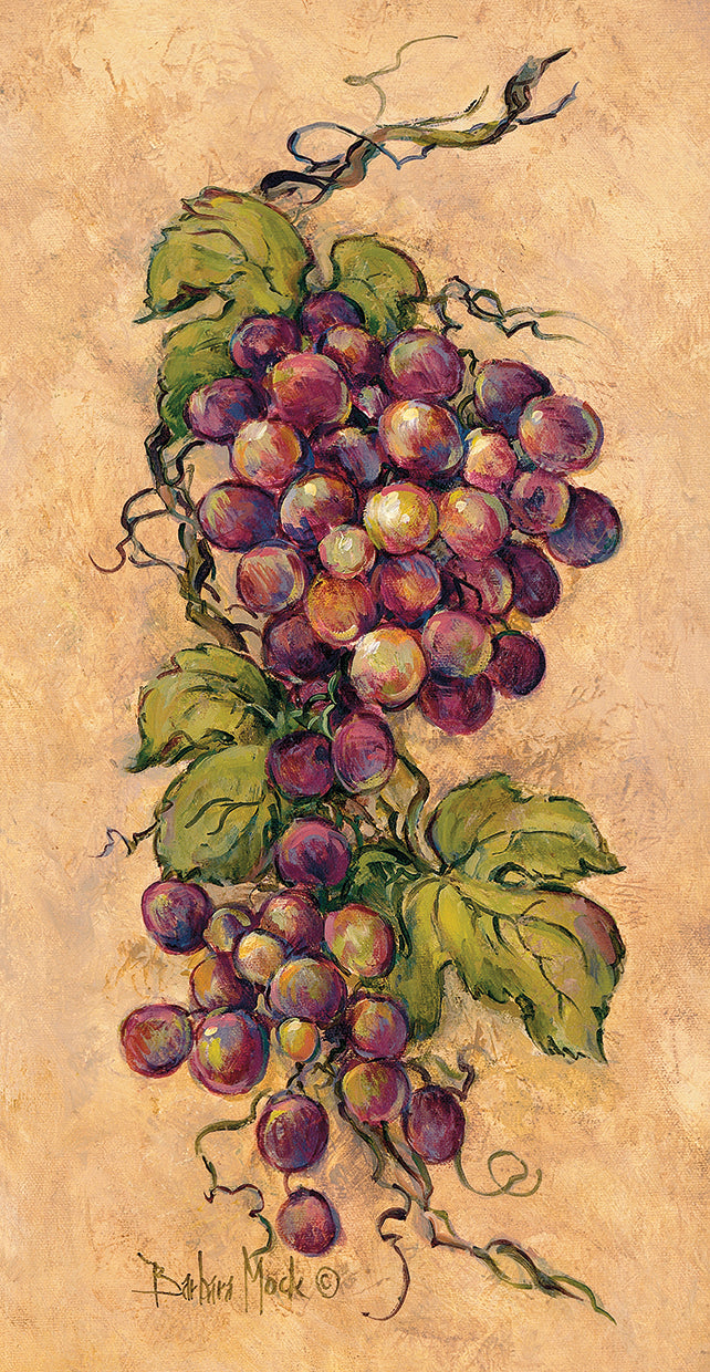 Arte de lienzo Vintage Grapevine II