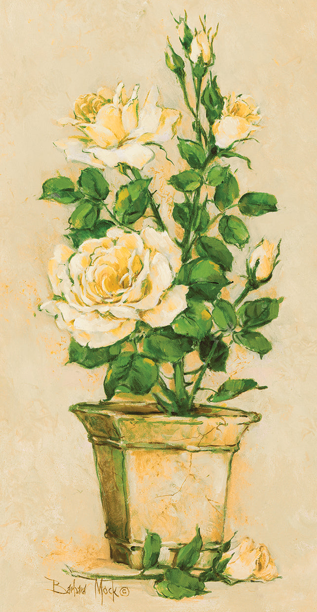 Shades of Rose II