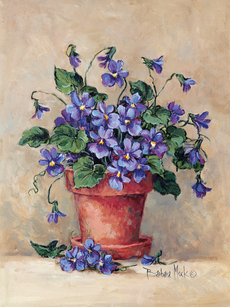 Viola Pot