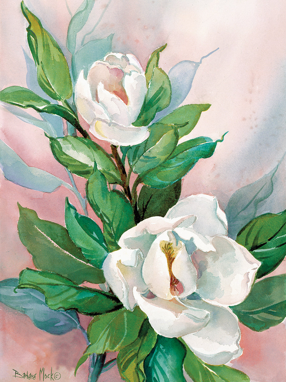 Classic Magnolia B