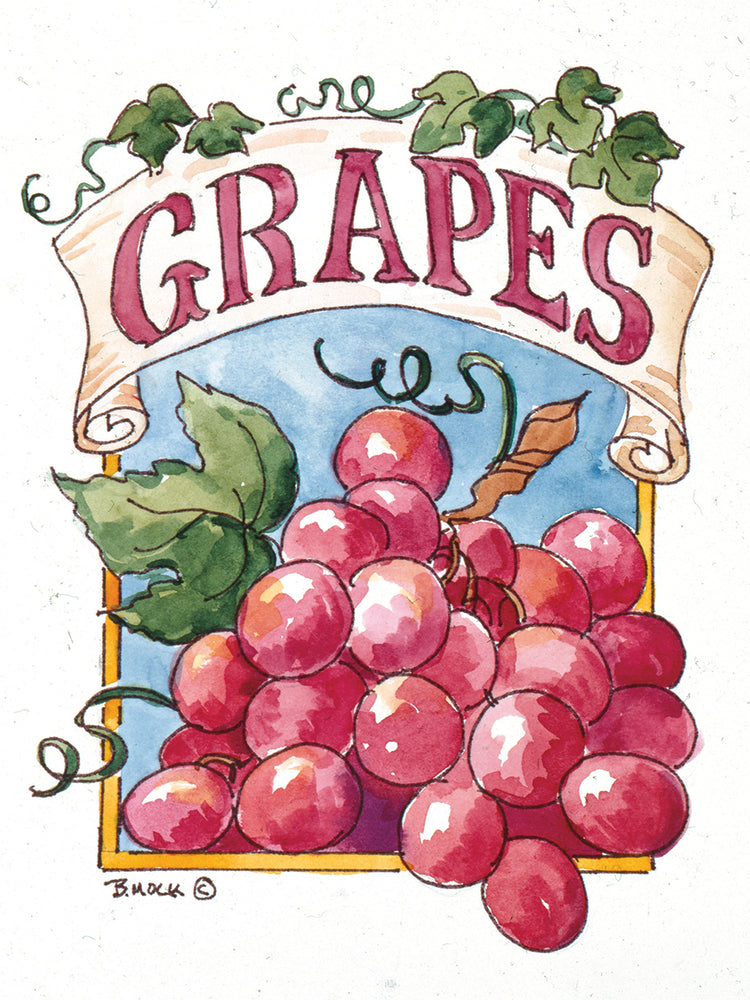 Arte de la lona del paquete de la semilla de la uva