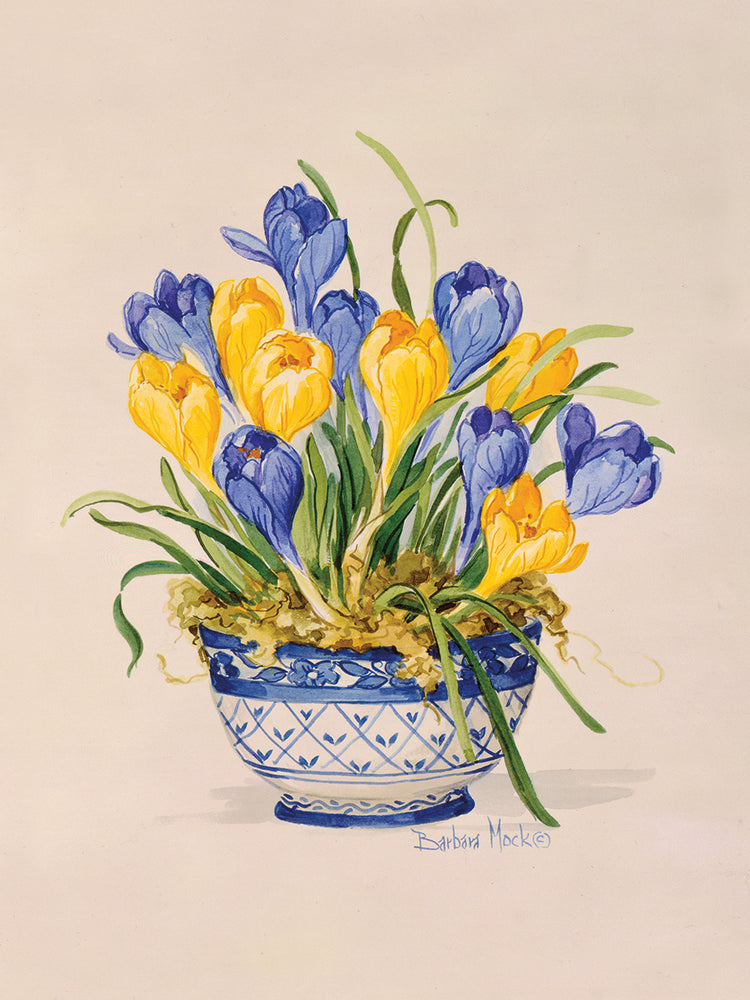 Lienzo de azafrán de porcelana azul y blanca