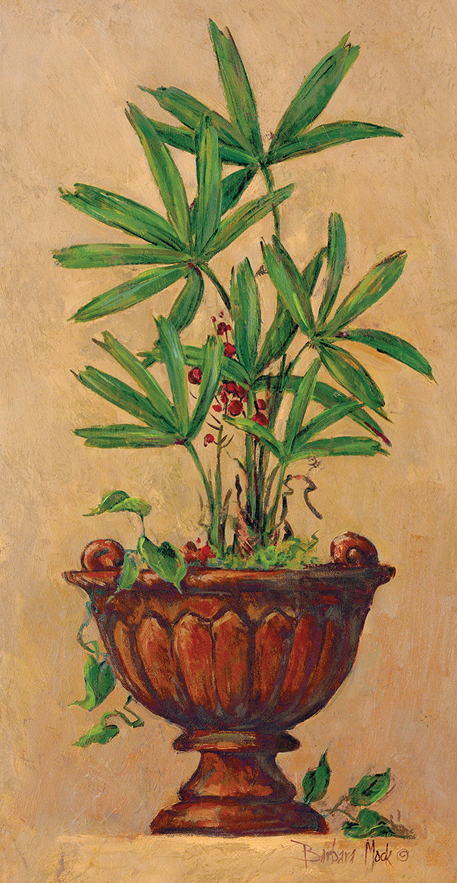 tropical-blend-i-barbara-mock
