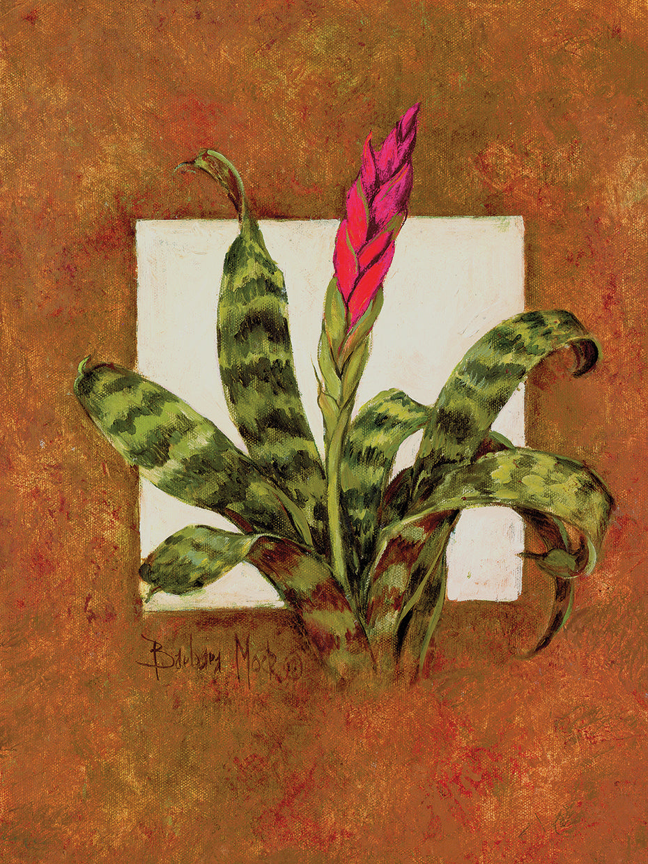 Tropical Squares 1