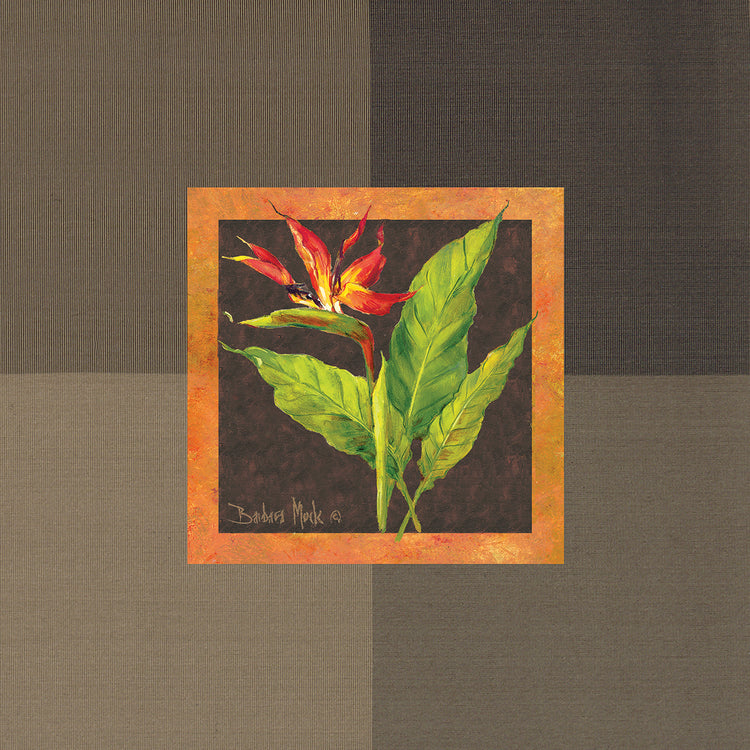 Tropical Treasures II