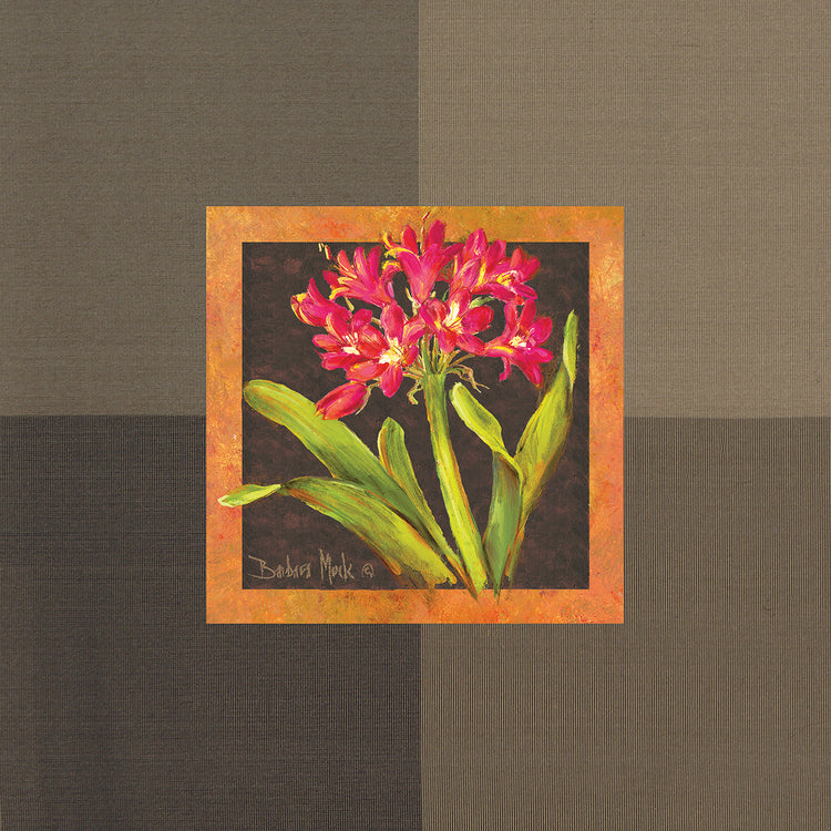 Tropical Treasures IV