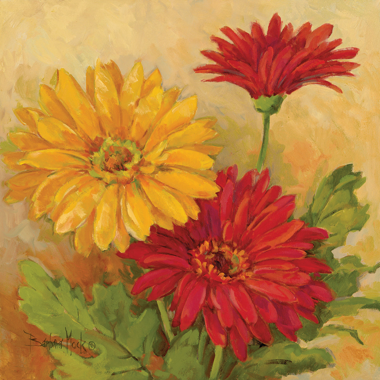 Gerber Daisies II