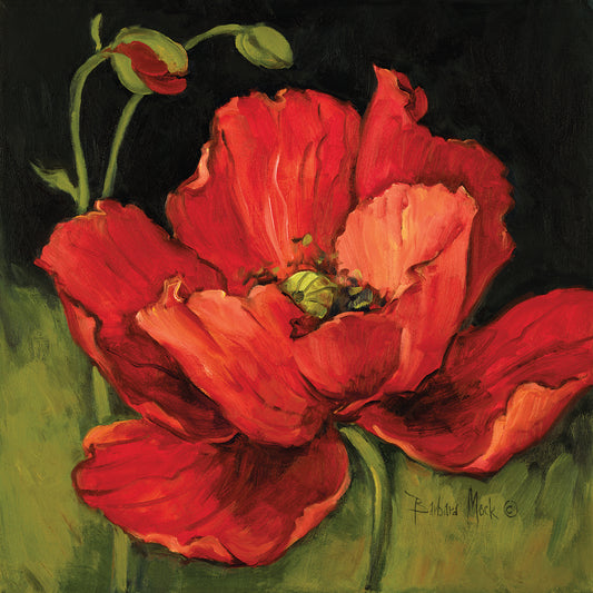 Poppy Blossom I Canvas Art
