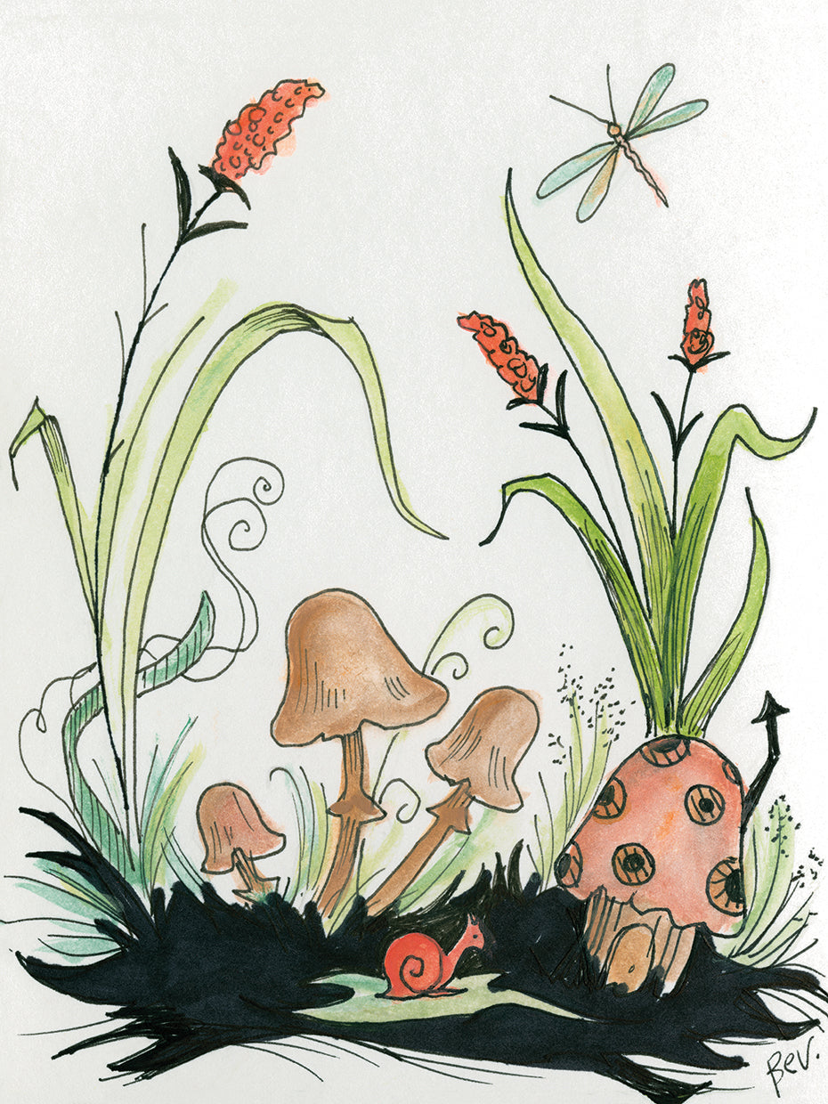 Mushrooms