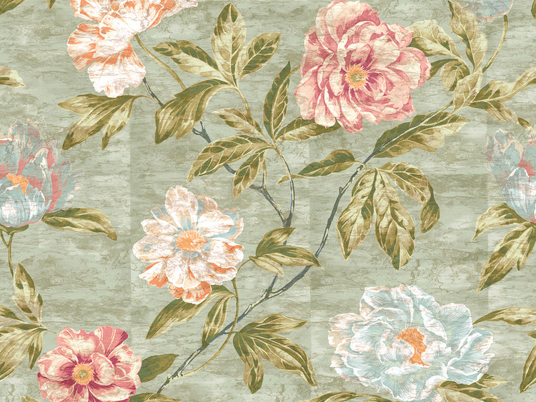 Tree Peony Mother Of Pearl