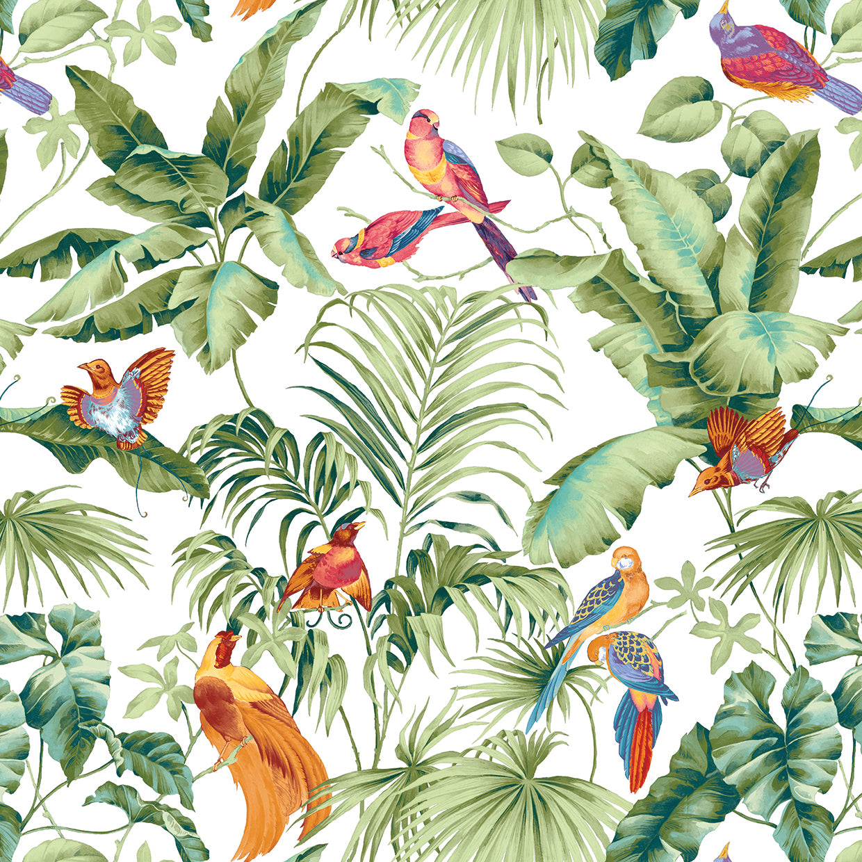 Jungle Canopy Spring