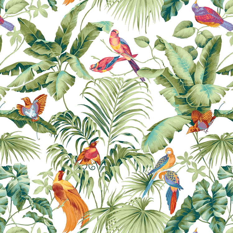 Jungle Canopy Spring