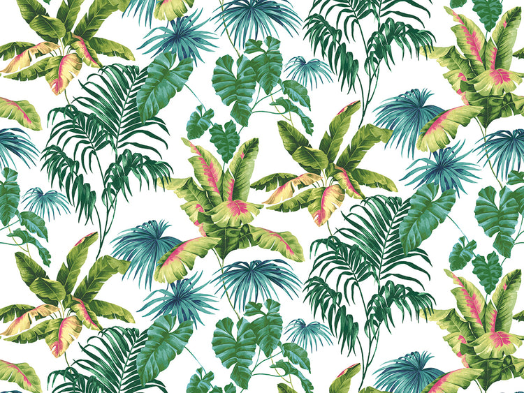 Tropic Toile Spring