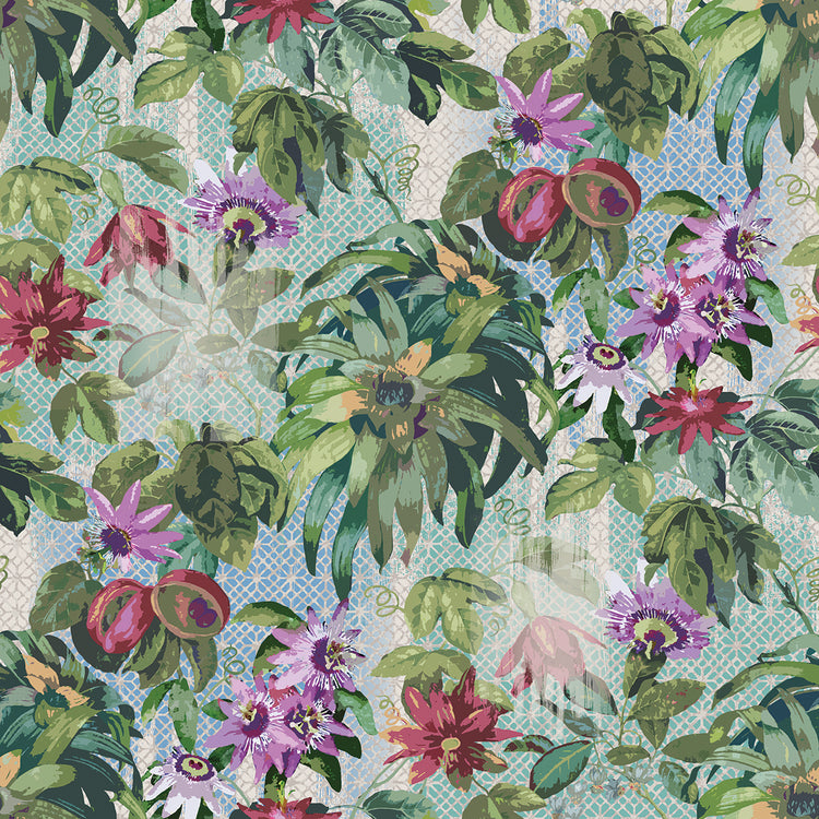 Passion Flower Botanical Image