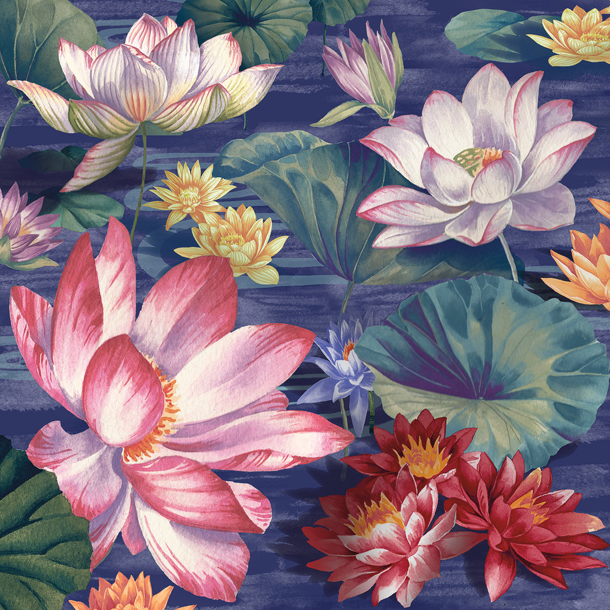 Lily Pool