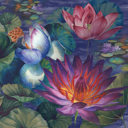 Moonlit Lily Pond Canvas Art