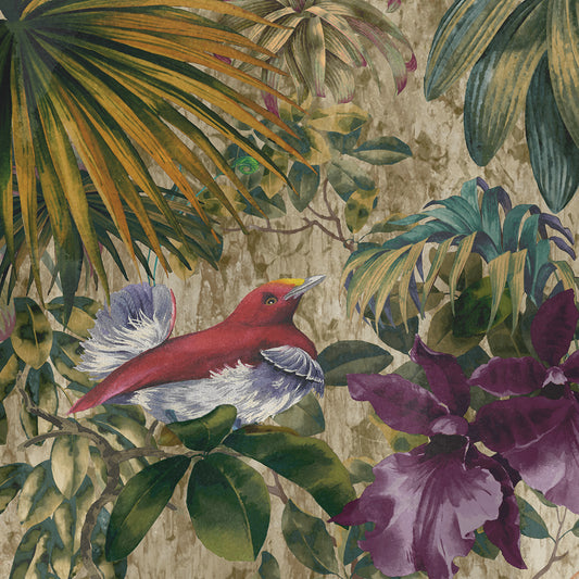 King Bird of Paradise Canvas Art