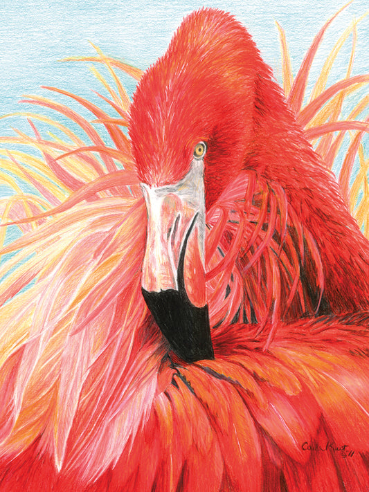Red Flamingo Canvas Art