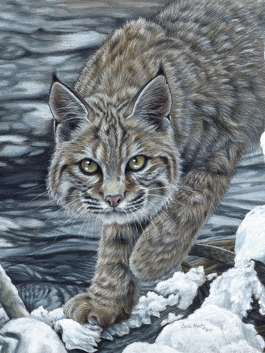 On the Prowl Canvas Art