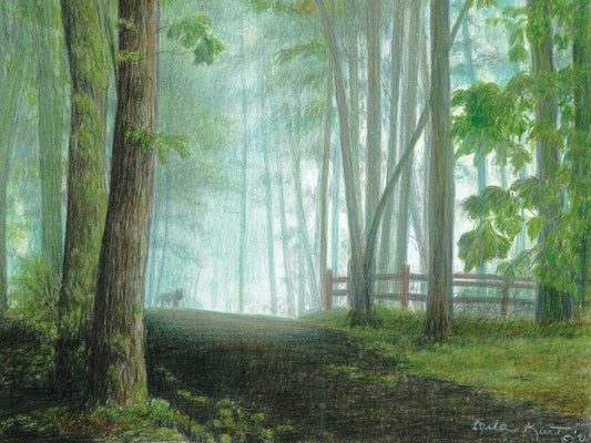Misty Morning Visitor Canvas Art