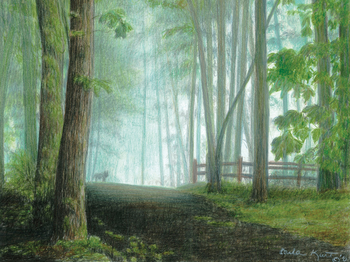 Misty Morning Visitor