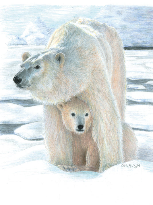Polar Love Canvas Art