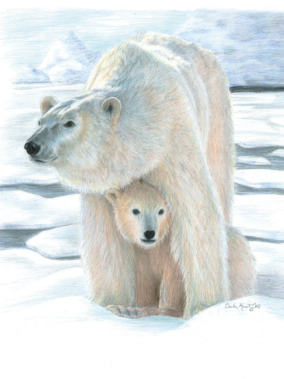 Polar Love