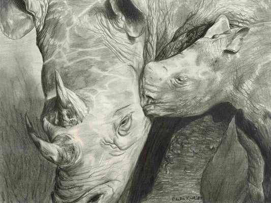 Rhino Love Canvas Art