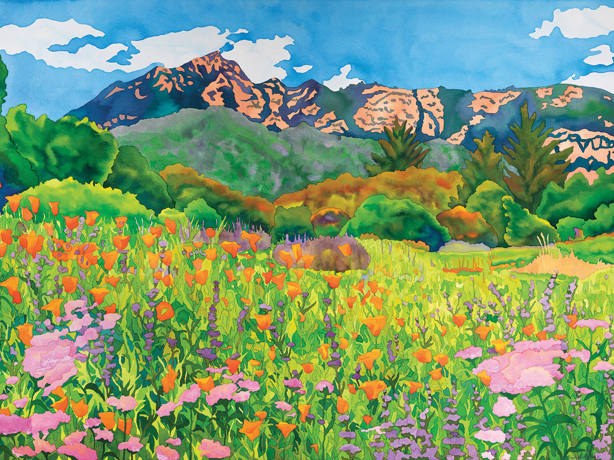 Santa Barbara Botanic Garden