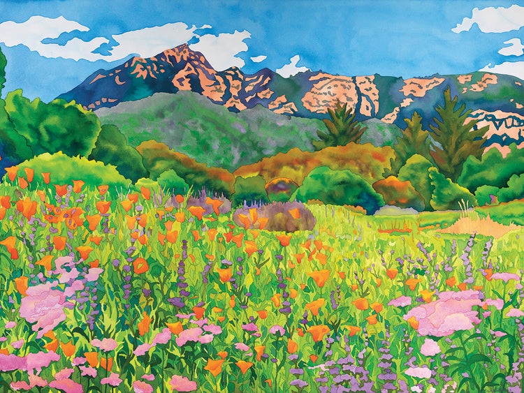 Santa Barbara Botanic Garden