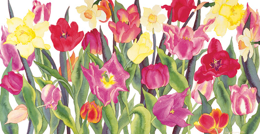 Tulips And Daffodils