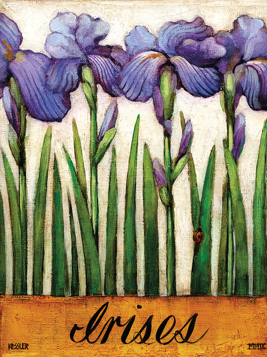 Irises Canvas Art