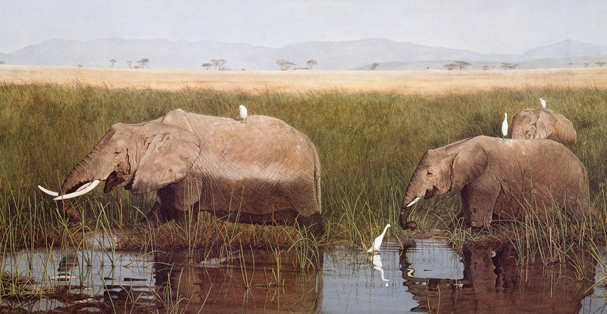 Gentle Giants
